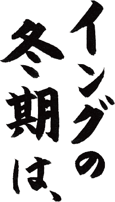 イングの冬期は、